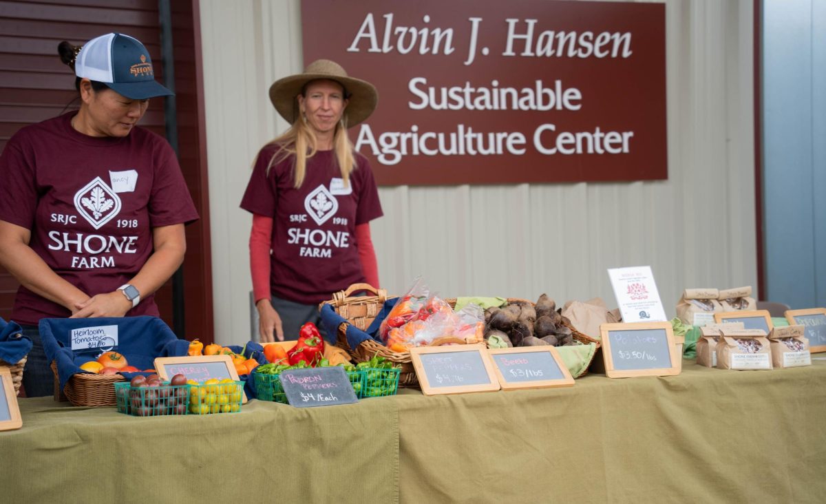 Produce, such as peppers, tomatoes, potatoes, beans and beats, grown by SRJC student farmers at Shone Farm is sold at the Fall Festival on Oct. 14, 2023. 