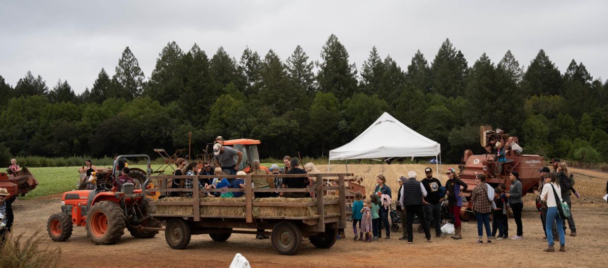 At Shone Farm’s Fall Festival a tractor pulls carts full of visitors for a tour of the pumpkin patch, vineyard and orchards of the farm on Oct. 14, 2023. 