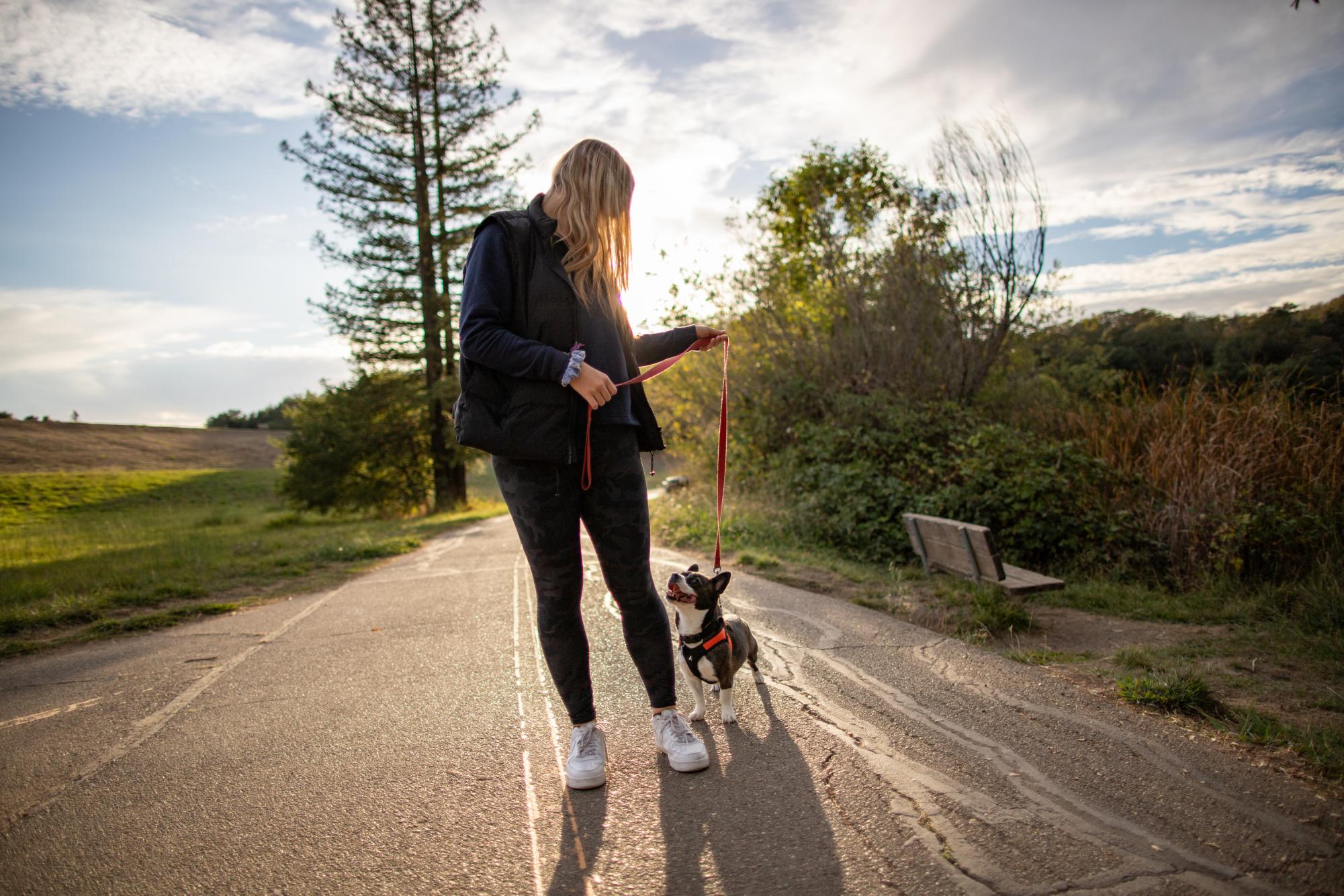 Toby Carter, a French bulldog-corgi mix, takes his person Samantha for a walk at Spring Lake Regional Park in Santa Rosa, Calif. on Oct. 21, 2023.