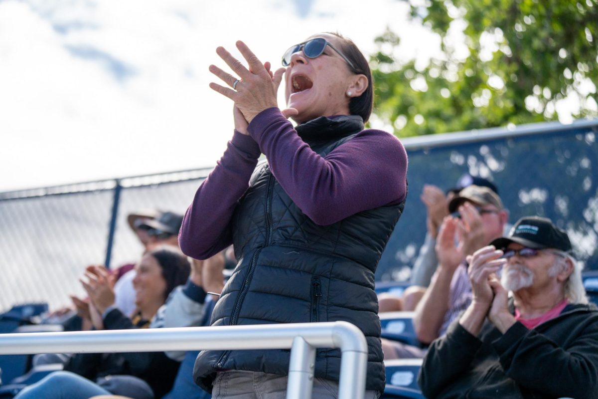A spectator for SRJC is elated as Zane Bennnett hits a solo home run in the bottom of the fifth against American River College at Santa Rosa's Cook Sypher Field on Thursday, April 25, 2024.