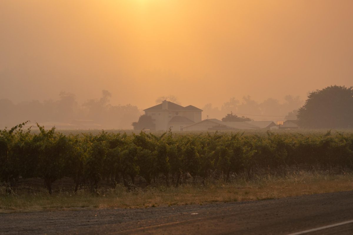 The smoke is thick over Skaggs Springs Road from the Point Fire on Sunday, June 16, 2024.