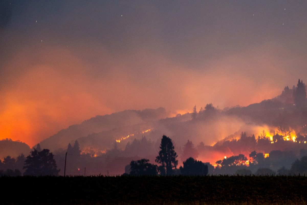 The Point Fire, as seen from Yoakim Bridge Road, reaches 15% containment at over 1,000 acres on Sunday, June 16, 2024.