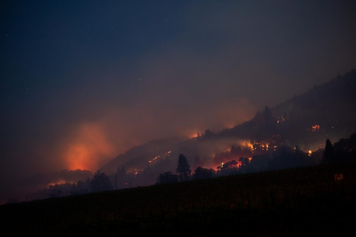 The Point Fire from Yoakim Bridge Road on Sunday, June 16, 2024 in Healdsburg. 