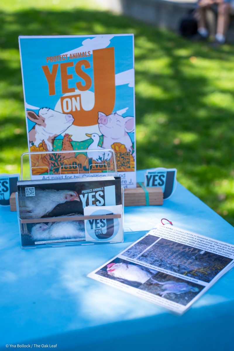 Collateral for "Yes on J" is made available to SRJC students in the quad on Thursday, August 22, 2024 in Santa Rosa.