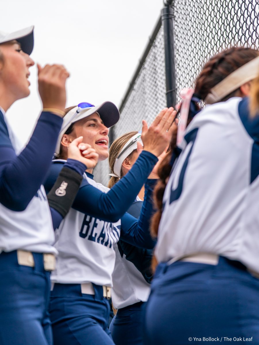 The dugout at Marv Mays in loud as the team continues to dominate against Modesto on Saturday, March 15, 2025 in Santa Rosa.