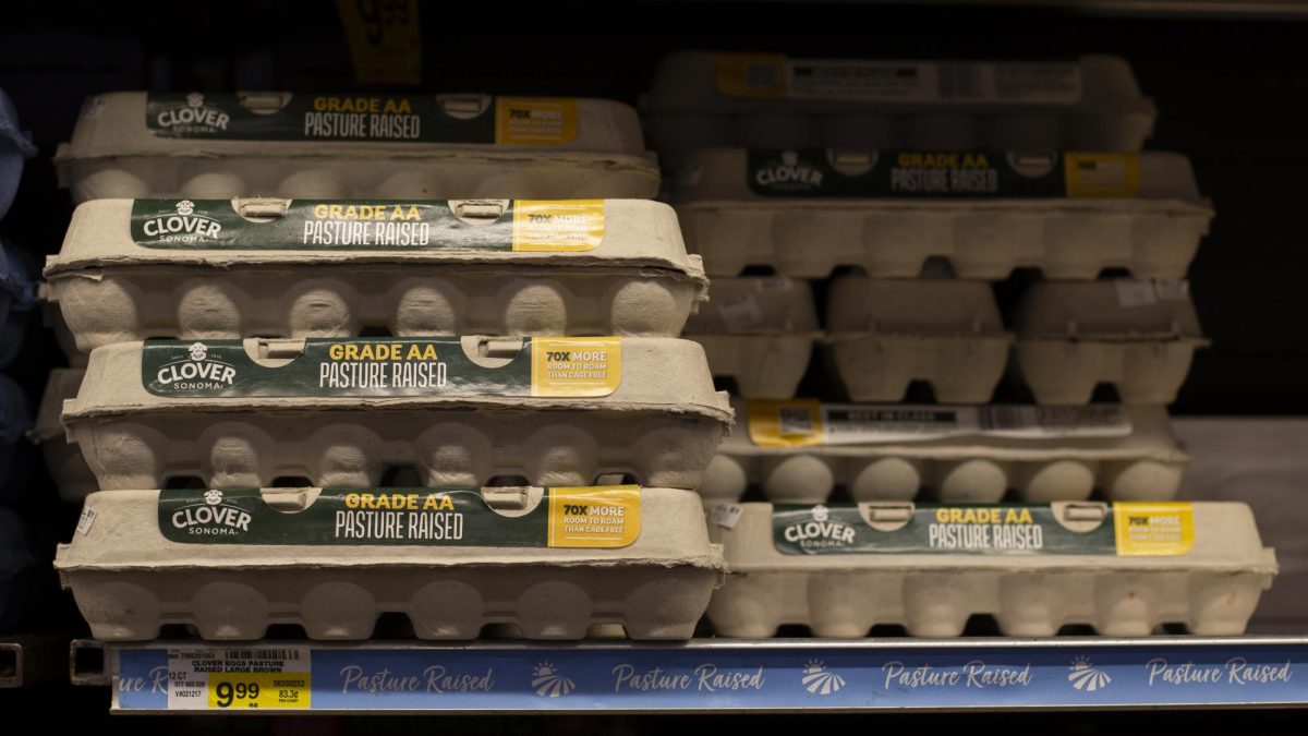  Cartons of eggs sit on a shelf for $9.99 at Safeway on Mendocino Avenue just a 10 minute walk from SRJC. A shortage of healthy chickens caused prices for eggs to rise more than 60% in 2025, more than for any other type of food