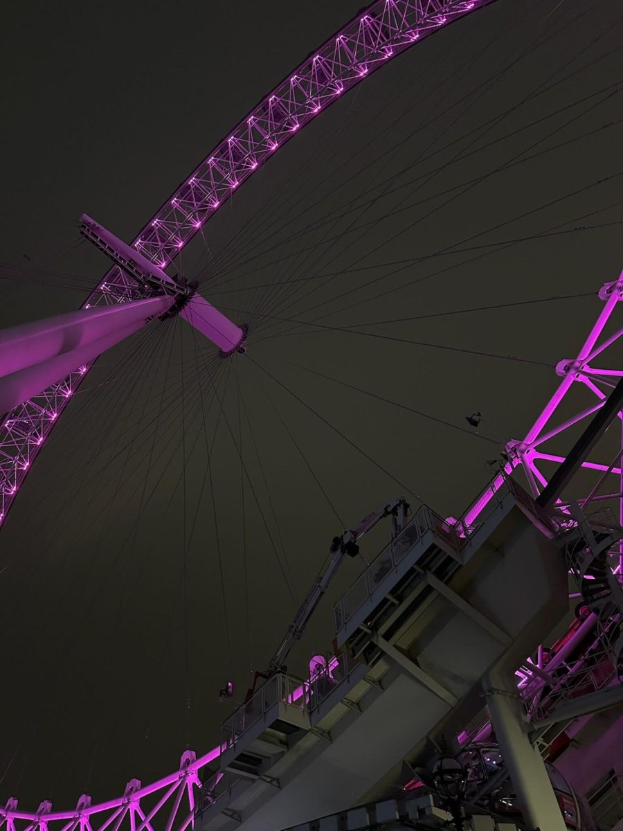 The London Eye: a tourist trap even locals can’t resist. With rides every 30 minutes, this attraction can house up to 800 people at a time.