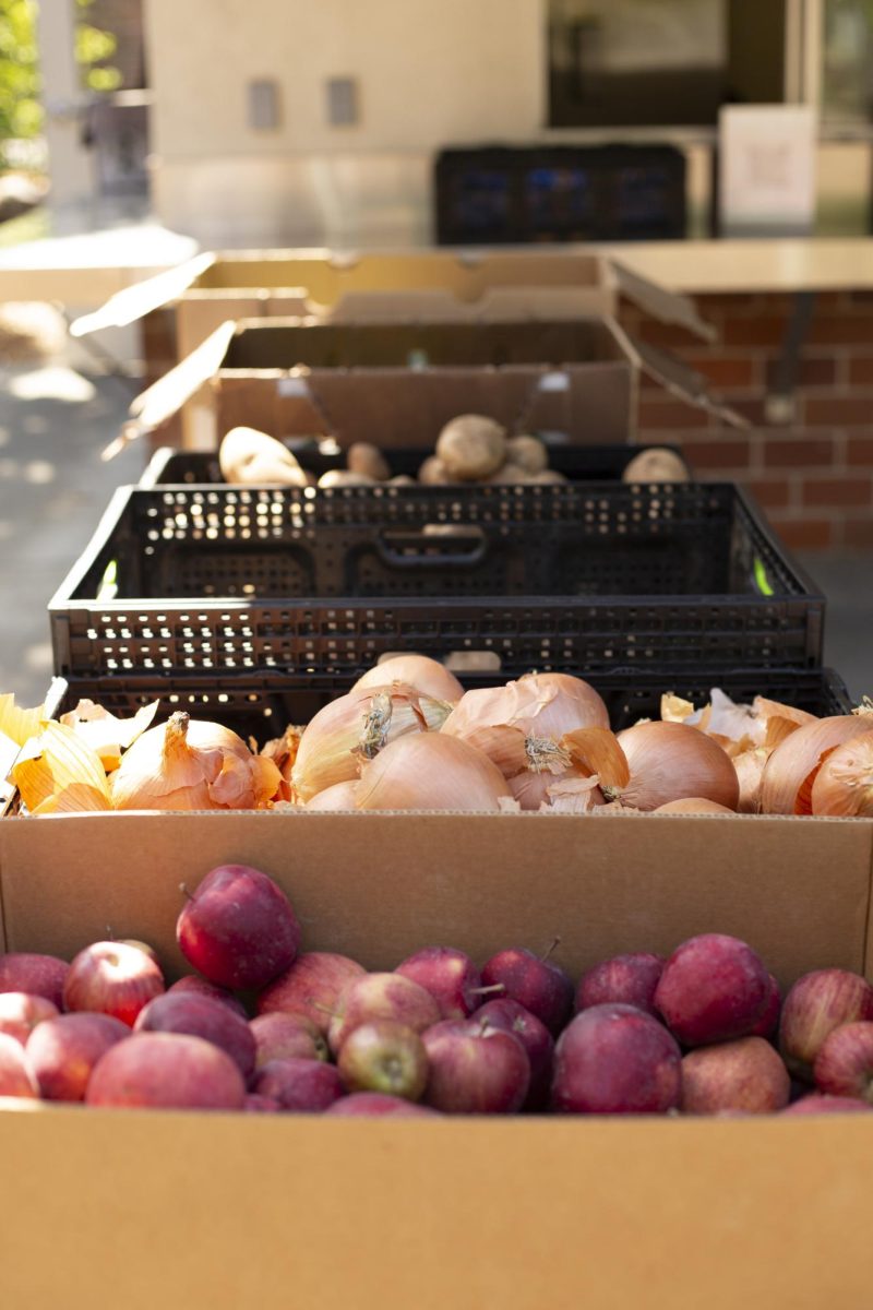 SRJC provides fresh produce, sourced from SRJC's Shone Farm and Redwood Empire Food Bank to students three days a week at the Bailey Field Food Kiosk. Apples, onions, romaine lettuce, and potatoes were available on May 8, 2025.


