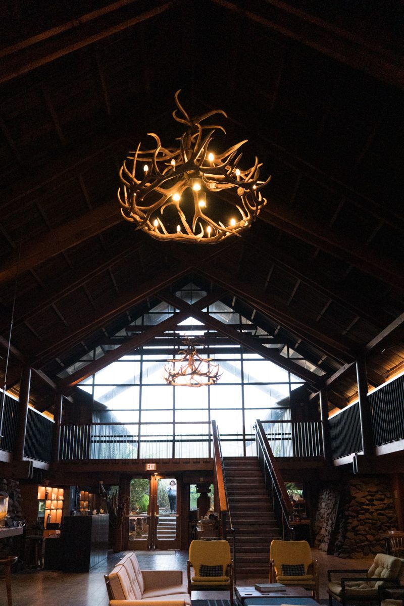 A pair of chandeliers made of antlers hang high above the rafters of Timber Cover Resort. Coast kitchen is located to the right of the main entrance of the hotel behind the bar and is open to the public.