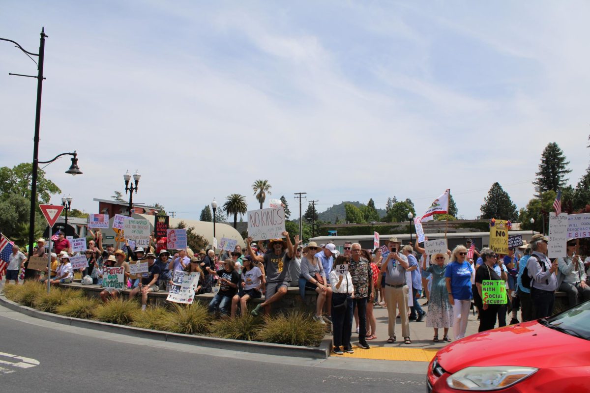 Demonstrators hold handwritten signs in show of support of the No Kings Protest in downtown Healdsburg on Saturday, June 14.