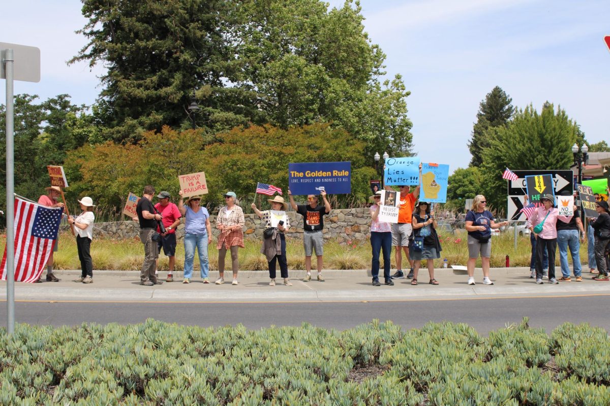 Demonstrators hold handwritten signs in show of support of the No Kings Protest in downtown Healdsburg on Saturday, June 14.
