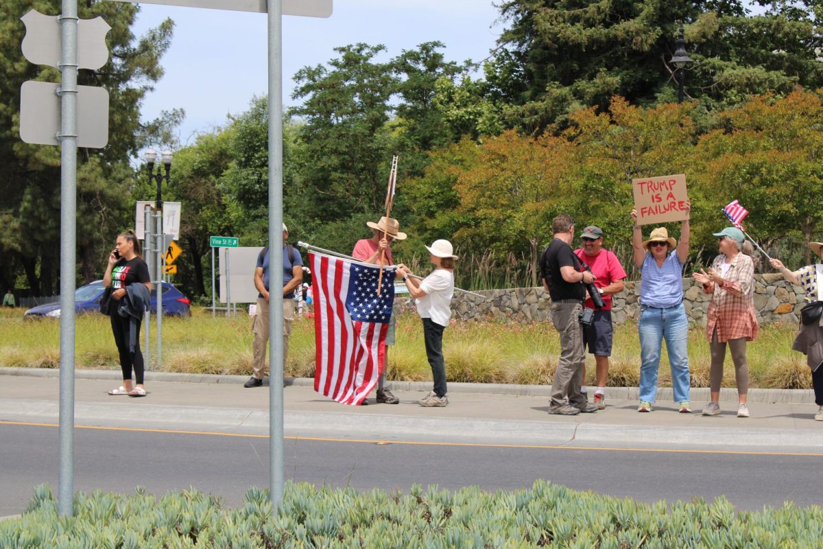 Demonstrators hold handwritten signs in show of support of the No Kings Protest in downtown Healdsburg on Saturday, June 14.