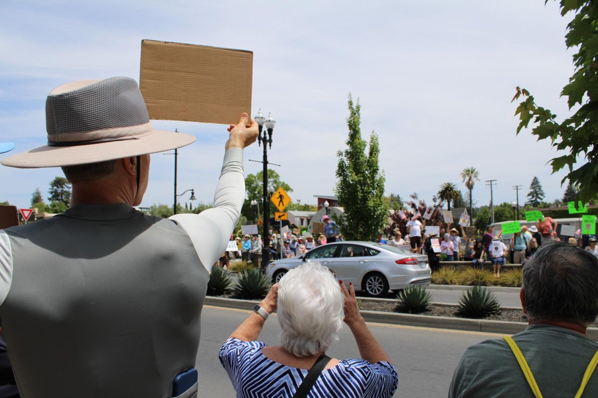 Demonstrators hold handwritten signs in show of support of the No Kings Protest in downtown Healdsburg on Saturday, June 14.