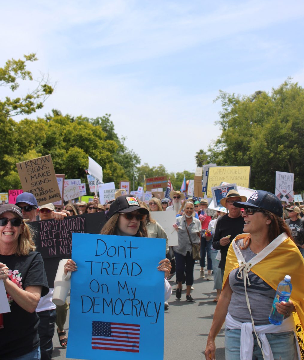 Hundreds of handwritten signs scattered through the streets of downtown Petaluma in support of the No Kings demonstration, Saturday, June 14