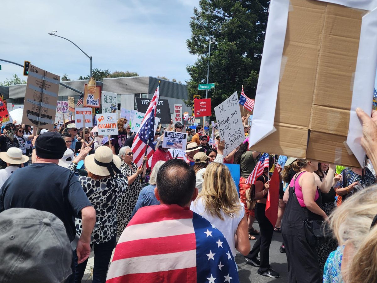 Protestors gather along Farmers Lane on June 14  to share their disdain for the Trump administration and the president's apparent over-reach of influence in the government.