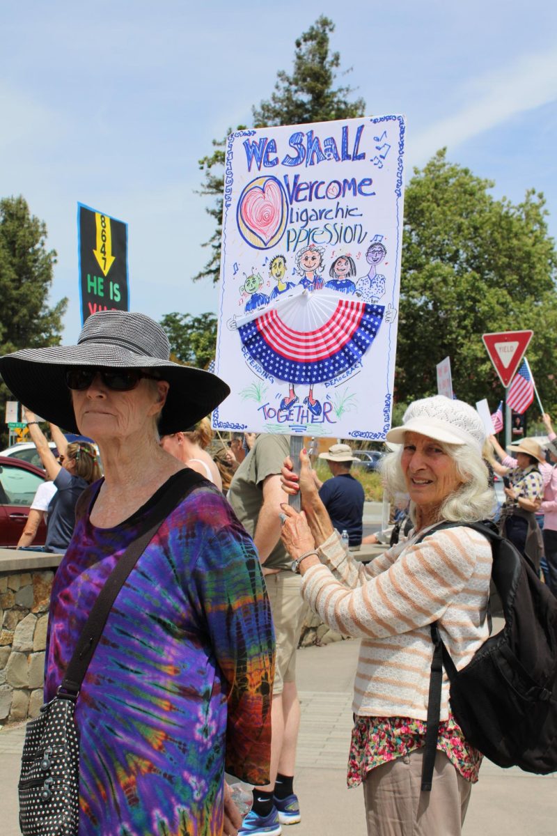 Demonstrators shared a multitude of messages with handmade signs for the No Kings Protest in downtown Healdsburg on Saturday, June 14. 