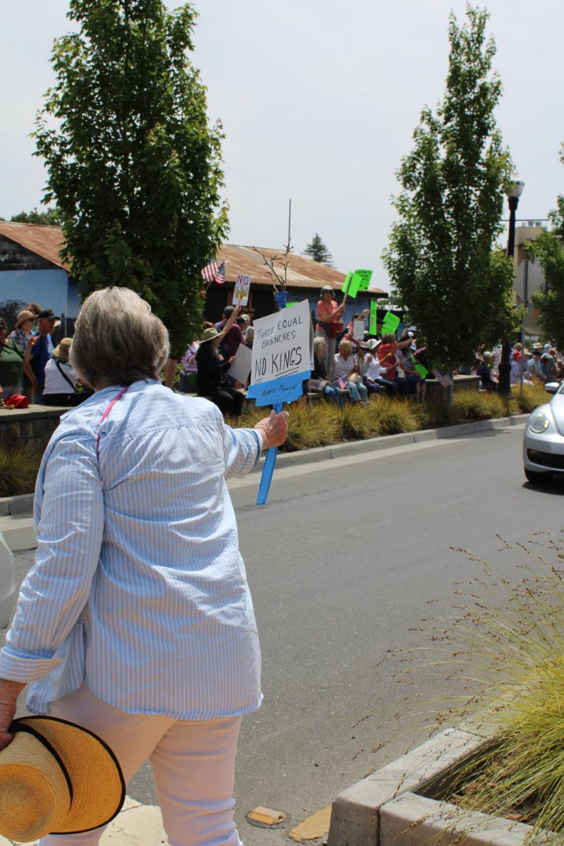 Demonstrators shared a multitude of messages with handmade signs for the No Kings Protest in downtown Healdsburg on Saturday, June 14. 