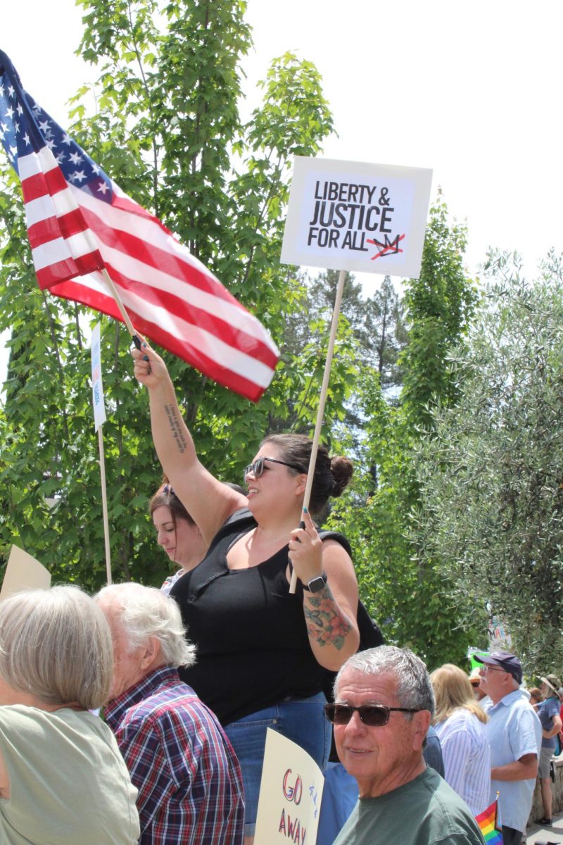 Demonstrators shared a multitude of messages with handmade signs for the No Kings Protest in downtown Healdsburg on Saturday, June 14. 