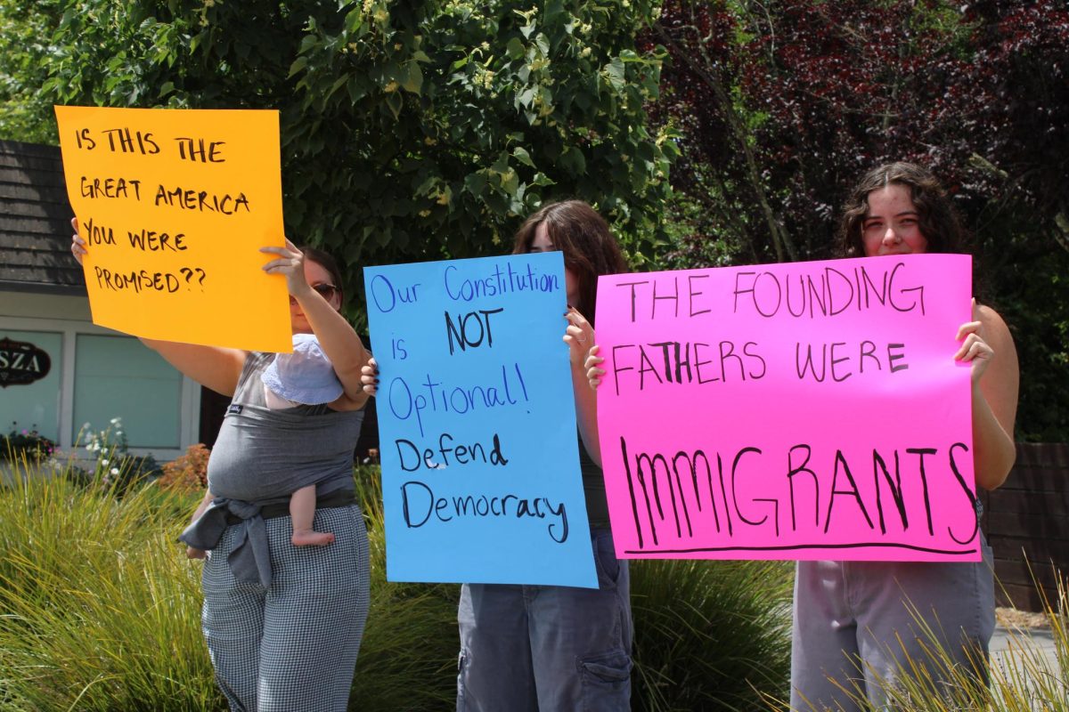 Demonstrators shared a multitude of messages with handmade signs for the No Kings Protest in downtown Healdsburg on Saturday, June 14. 