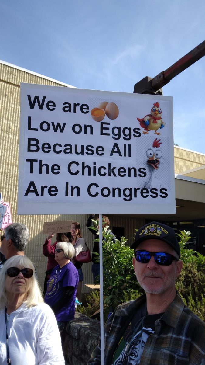 Locals and visitors creatively protested in Sebastopol as part of the No Kings protest in Sebastopol on June 14, 2025. 