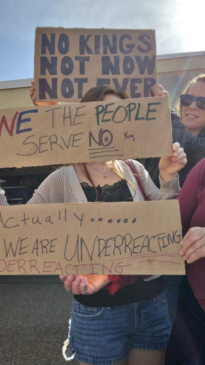 Locals and visitors creatively protested in Sebastopol as part of the No Kings protest in Sebastopol on June 14, 2025. 