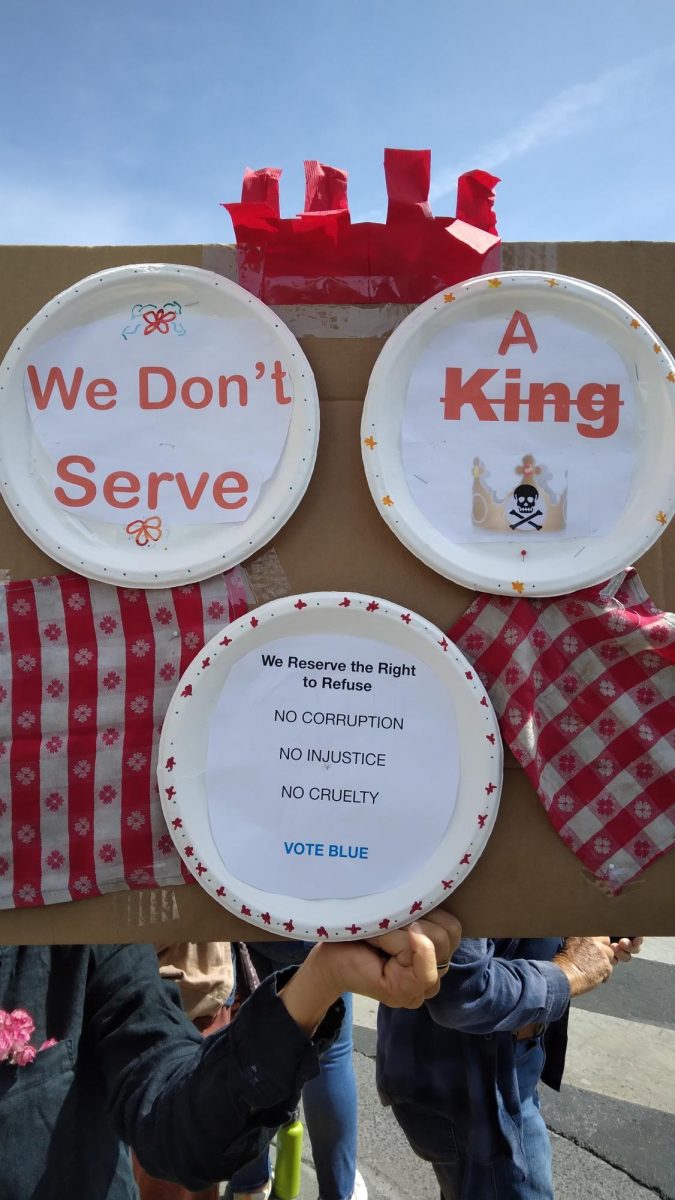 Locals and visitors creatively protested in Sebastopol as part of the No Kings protest in Sebastopol on June 14, 2025. 