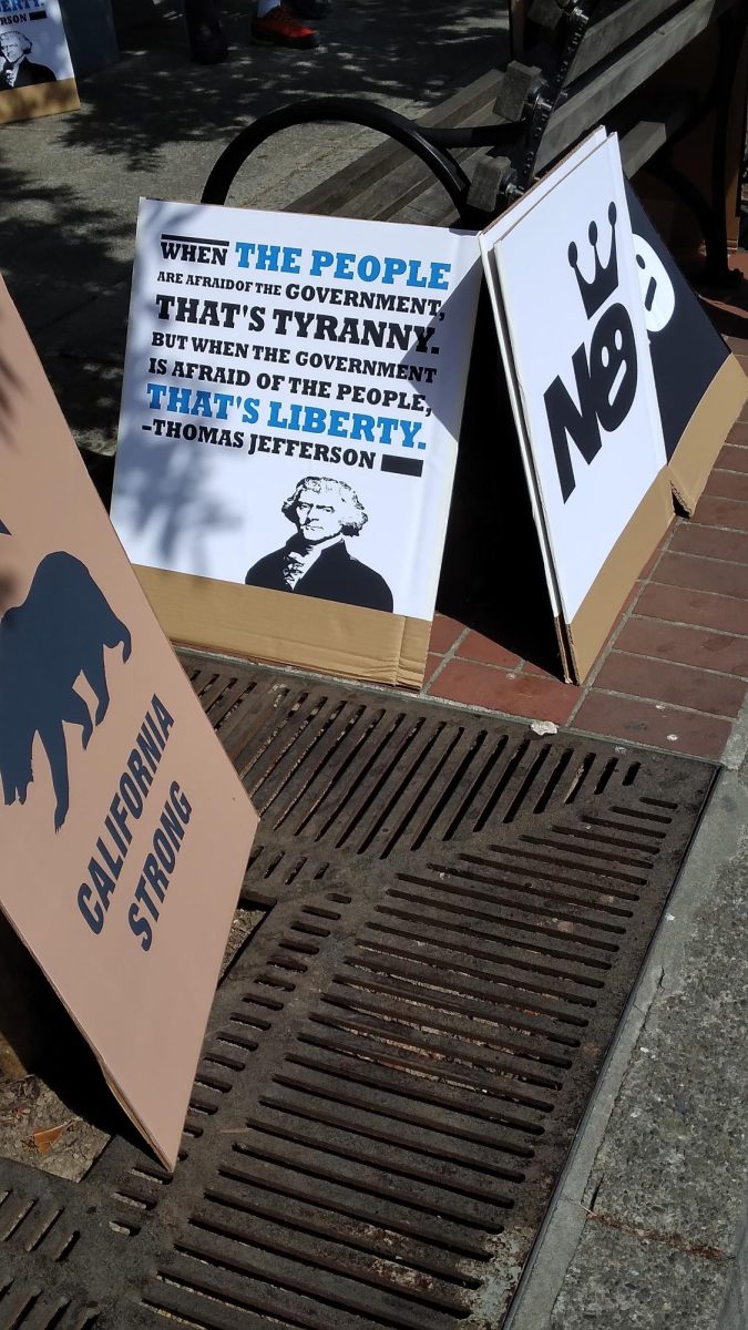 Local creative Tina Grob made plenty of different signs for her friends, and anyone else who wanted to carry a message as part of the No Kings protest in Sebastopol on June 14, 2025.