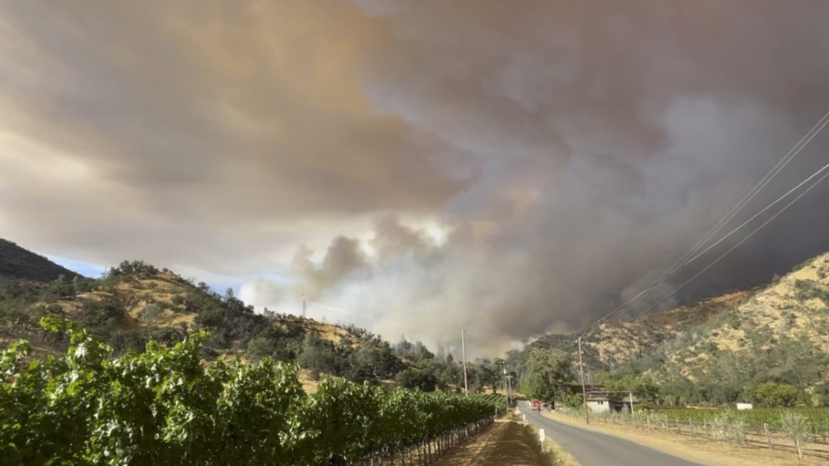 The Pickett fire, shot from Pickett Road, advances from north of Calistoga at 6:30 p.m. Thursday, Aug. 21, 2025.
