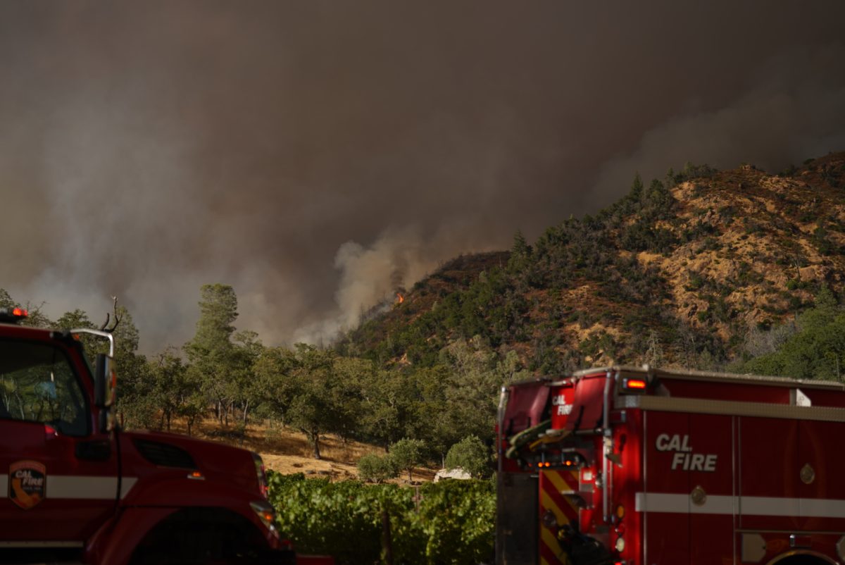 Cal Fire firefighters battle the fast growing Pickett Fire on Thursday, Aug. 21, 2025 in Calistoga, Calif.