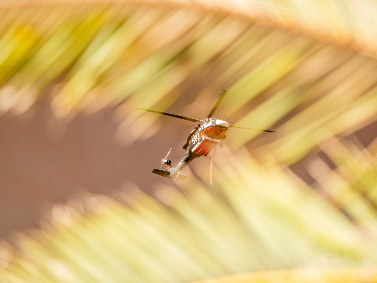 A Cal Fire contract helicopter, 5PJ, approaches the Pickett Fire above the palm trees lining Pickett Road near Calistoga, Calif. on Thursday, Aug. 21, 2025.
