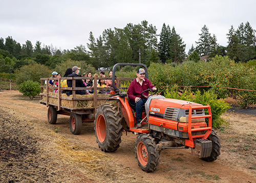 Fall Fest will offer meet-and-greets with farm animals, hay rides and locally grown produce available for purchase from 10 a.m. to 3 p.m. Oct. 11 at Shone Farm.