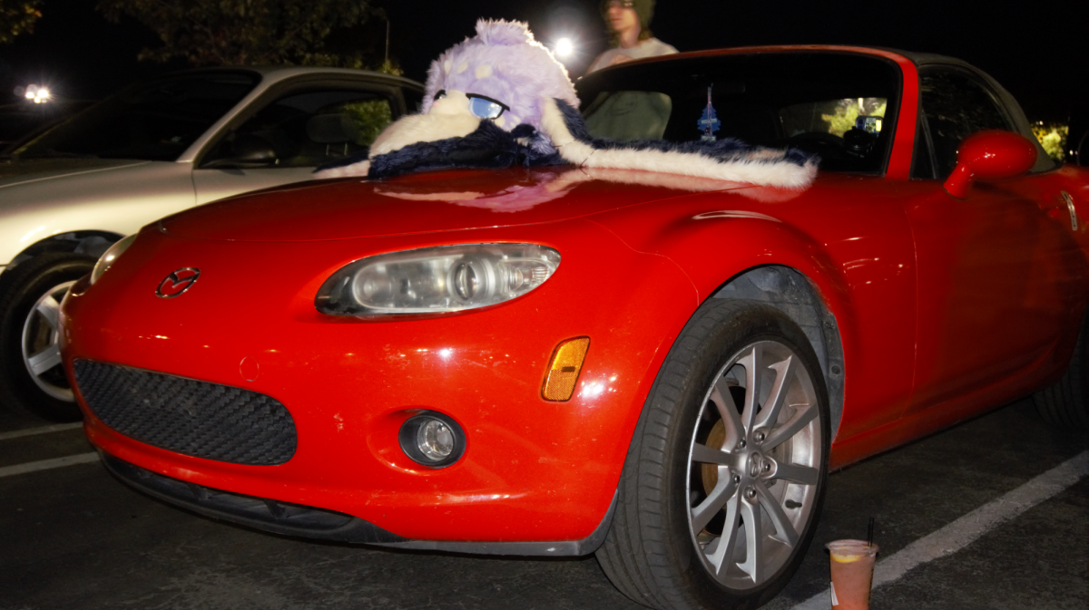 Max displays their fursuit head atop their impulse-bought 2006 Mazda Miata at Sonoma County's fourth furry car meet Oct. 4.