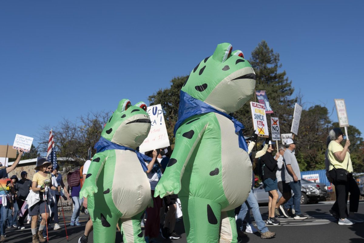 Protesters wear  costumes to "make light of how ridiculous all of this authoritarianism is" for No Kings day Oct. 18.