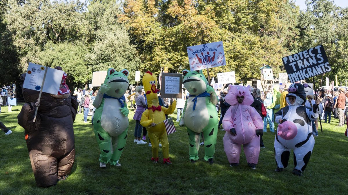 Protesters wear  costumes to "make light of how ridiculous all of this authoritarianism is" for No Kings day Oct. 18.