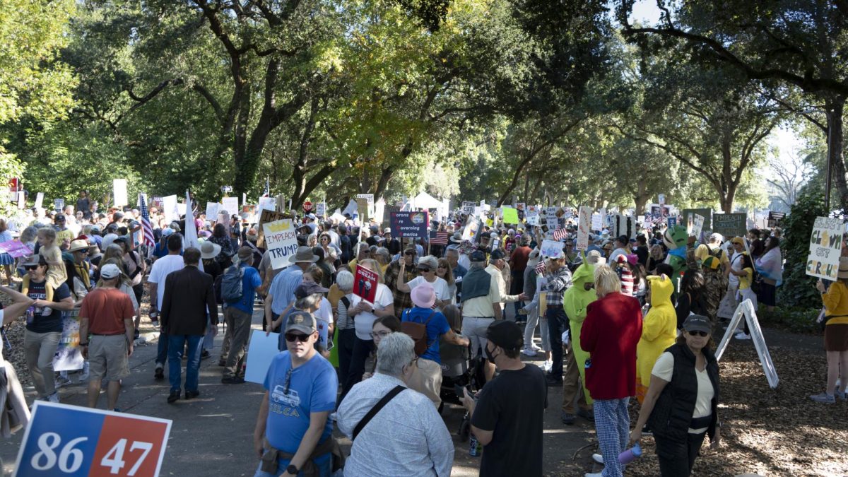 Several thousand protesters gather at Doyle Park for No Kings day Oct. 18.