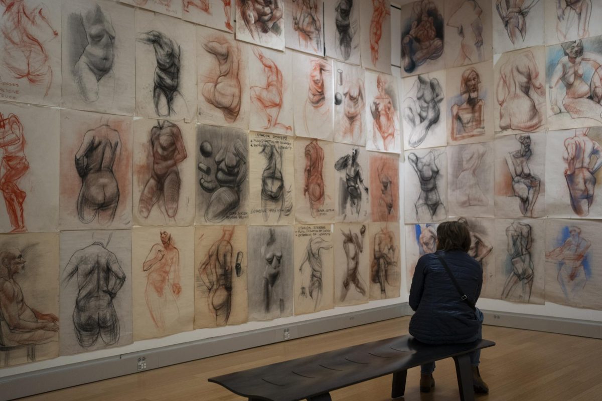 An attendee of Alan Azhderian's "Context/Content" show surrounds herself with Azhderian's collection of figure drawing demonstrations from his 37 years of teaching at Santa Rosa Junior College at the closing reception on Dec. 4 in the Robert F. Agrella Gallery.