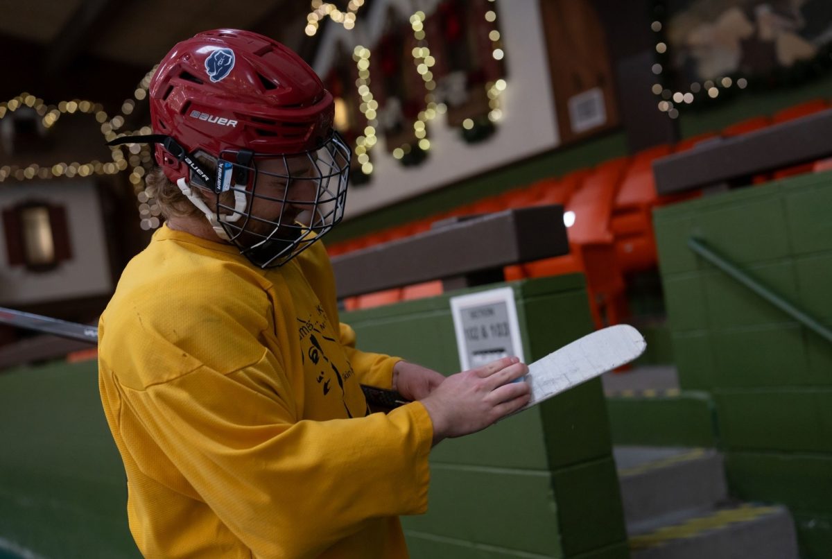 hockey4