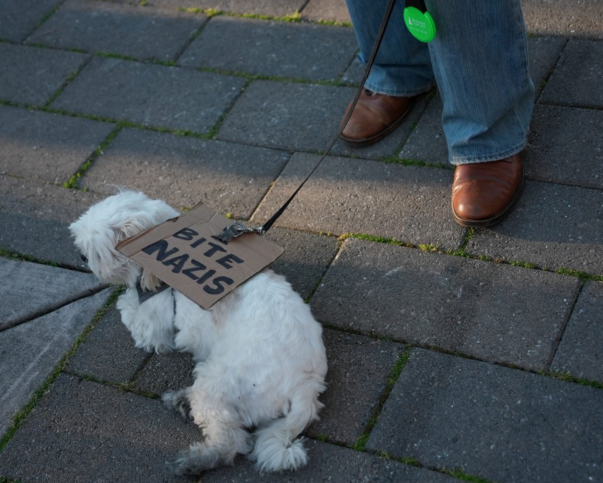Nearly a dozen dogs join in protest of the killing of Alex Pretti at Santa Rosa's Courthouse Square on Jan. 24. 