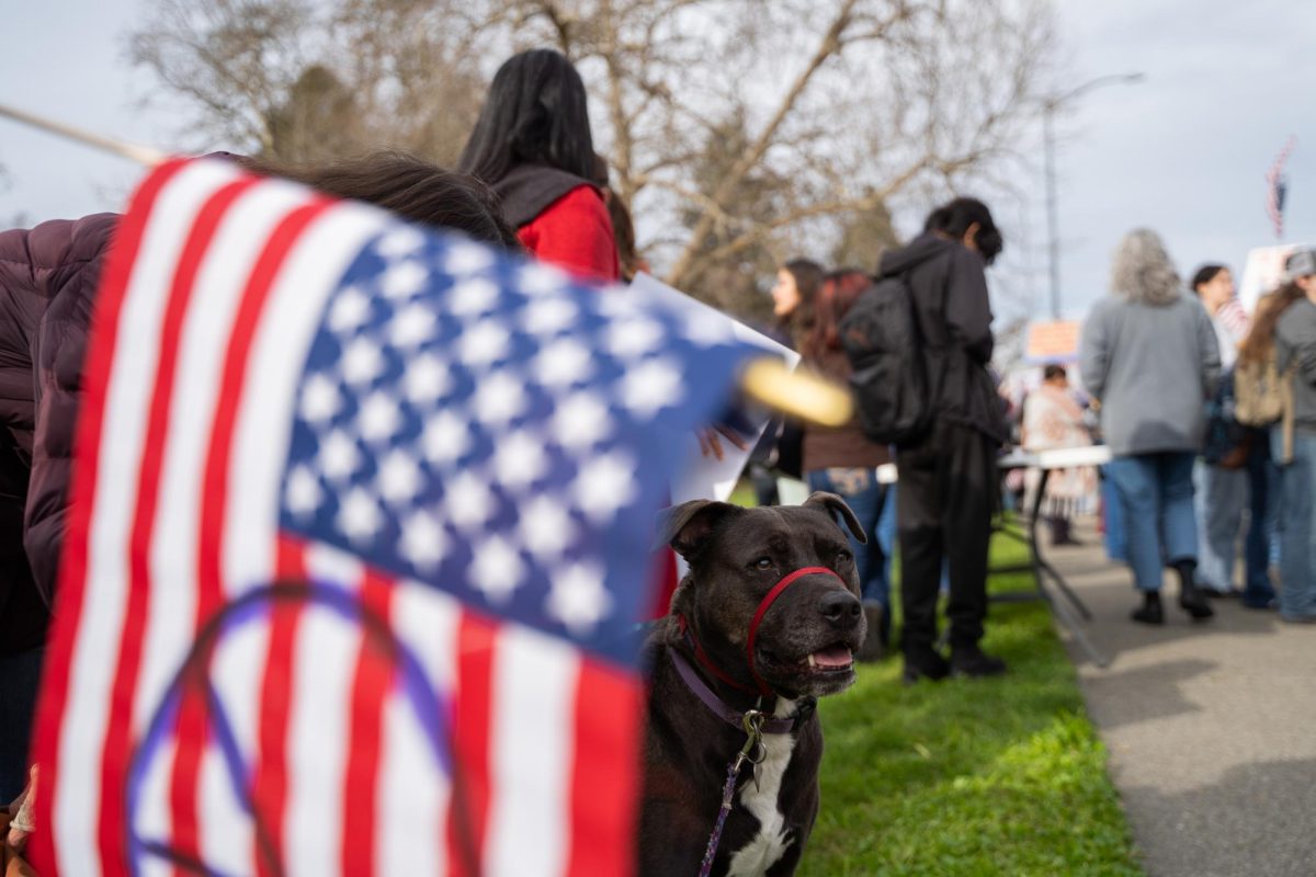 A furry protestor dreams of treats and democracy at the Free America Walkout on Mendocino Avenue in front of Santa Rosa Junior College Jan. 20, 2026. 
