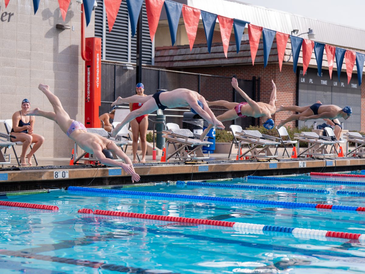 The SRJC men's swim team jump off of the blocks to start the race during the Red vs Blue Intersquad scrimmage on Friday, Jan. 30.