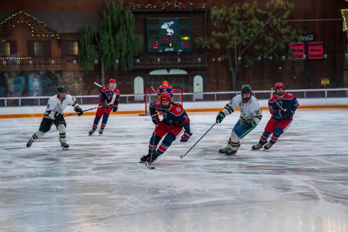 hockey-13