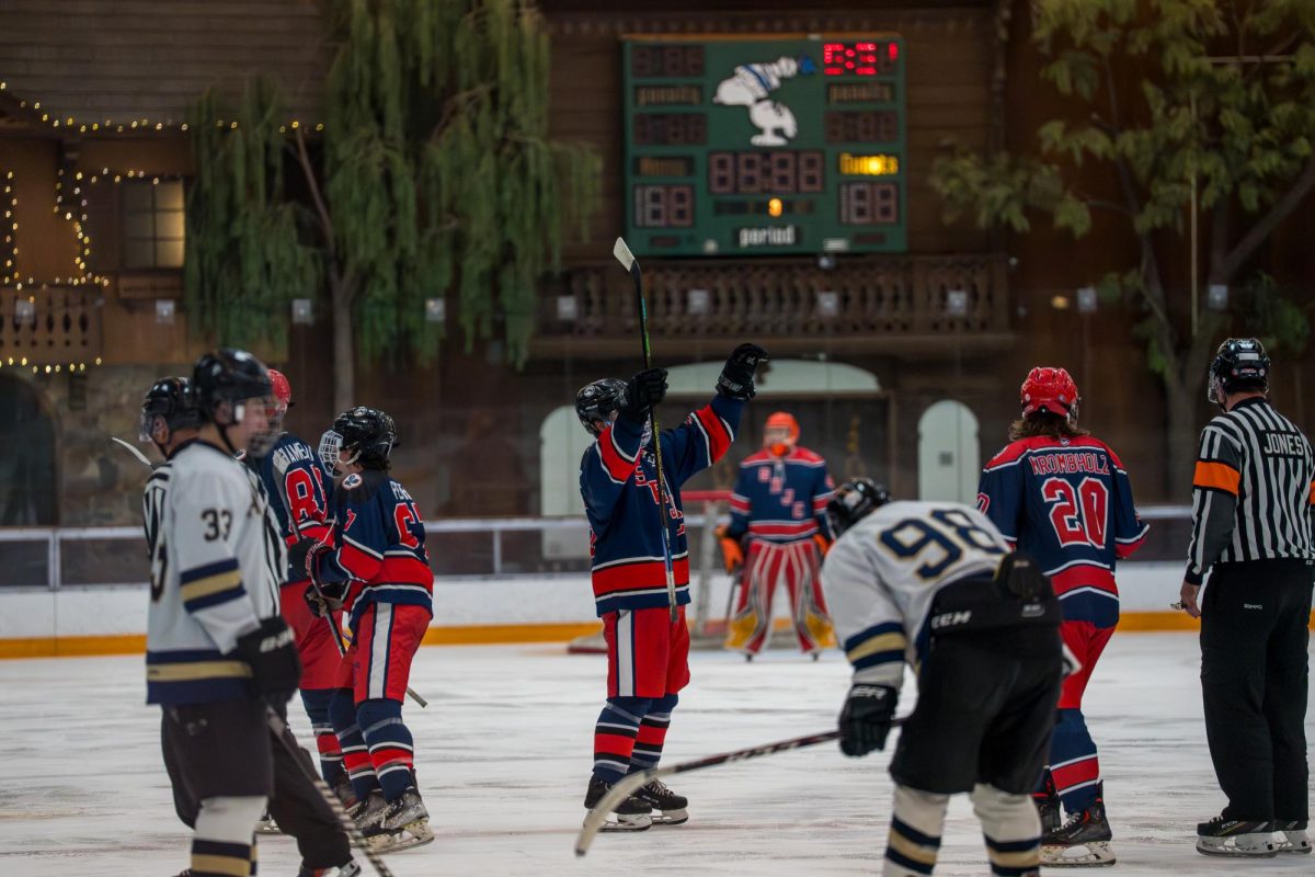 hockey-17