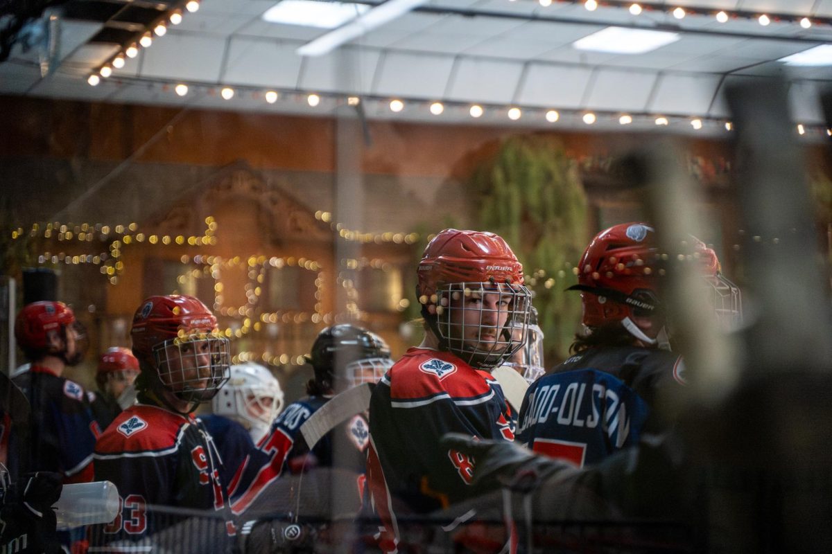 hockey-2