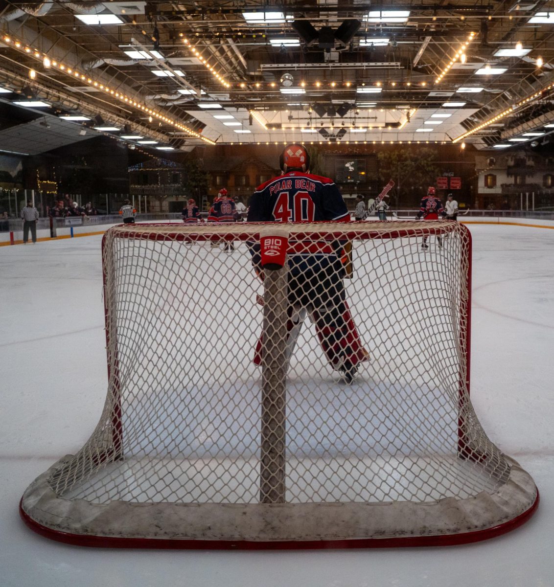 hockey-24