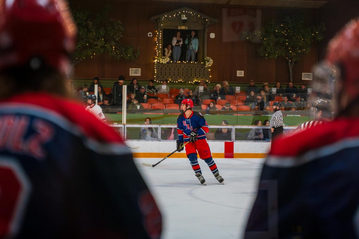 hockey-6
