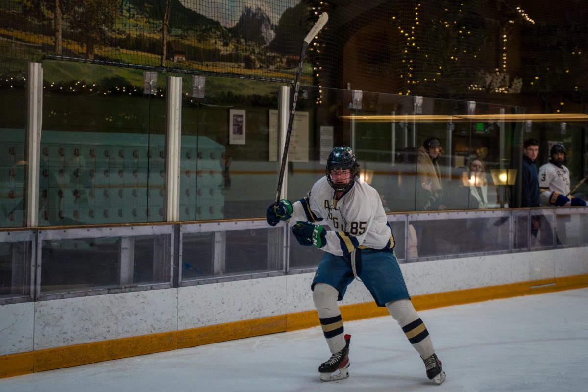 hockey-7
