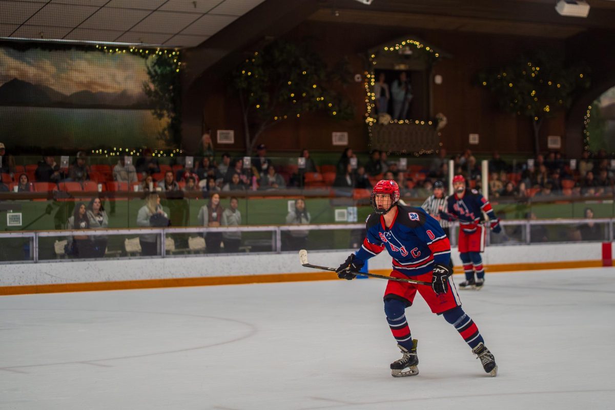 hockey-8