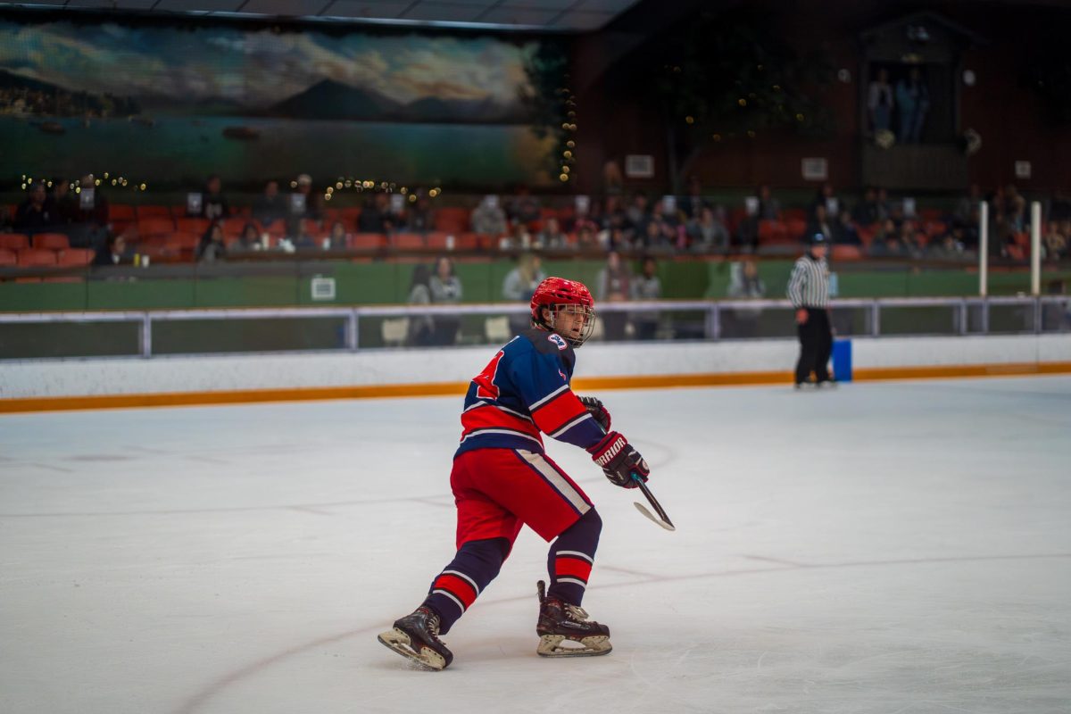 hockey-9