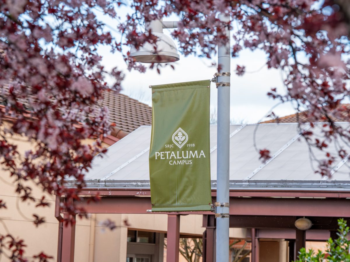 petalumaSRJCcampusYB-1