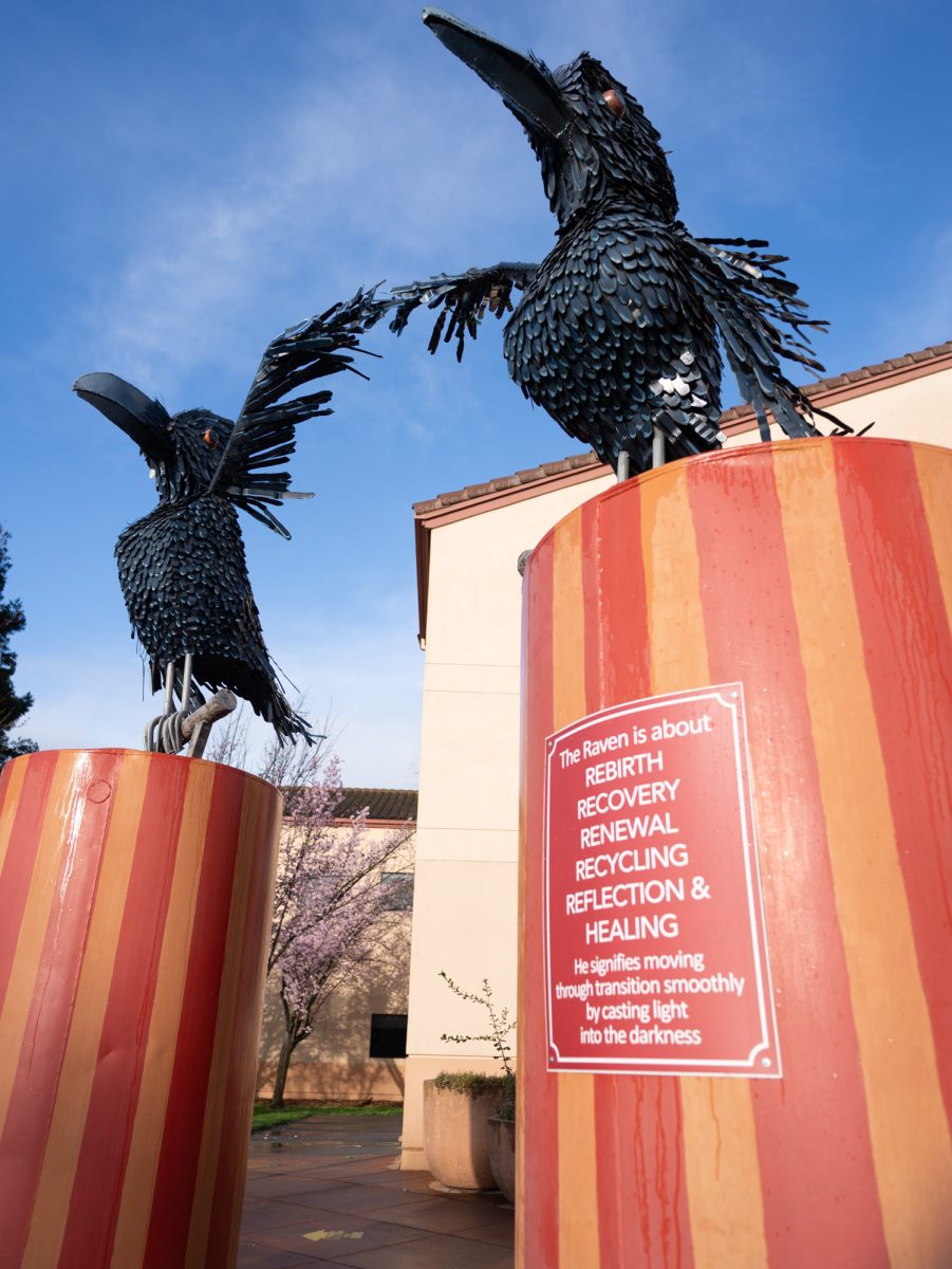 petalumaSRJCcampusYB-4